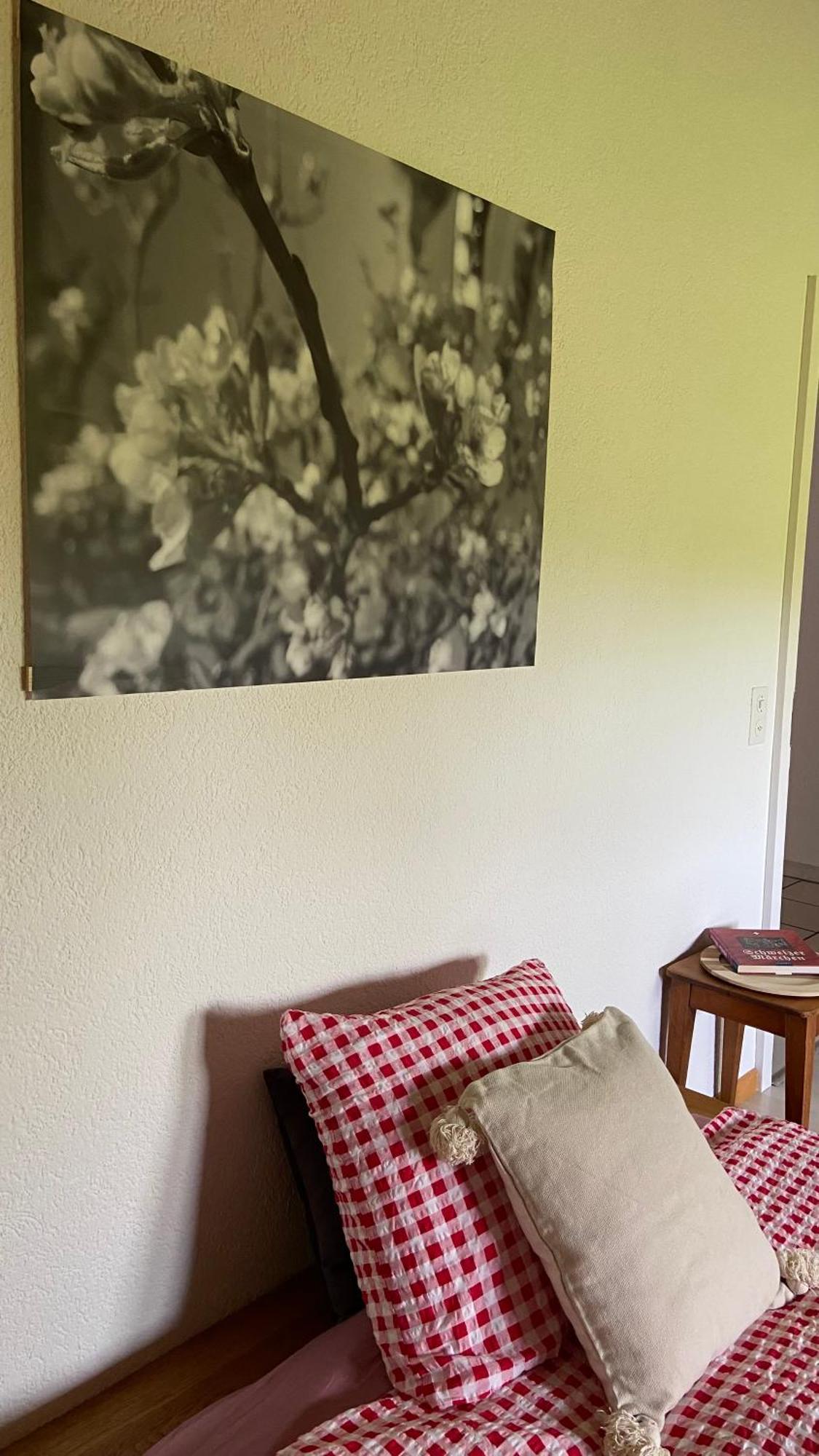 Naturnahe Familienwohnung Ruschegg Εξωτερικό φωτογραφία