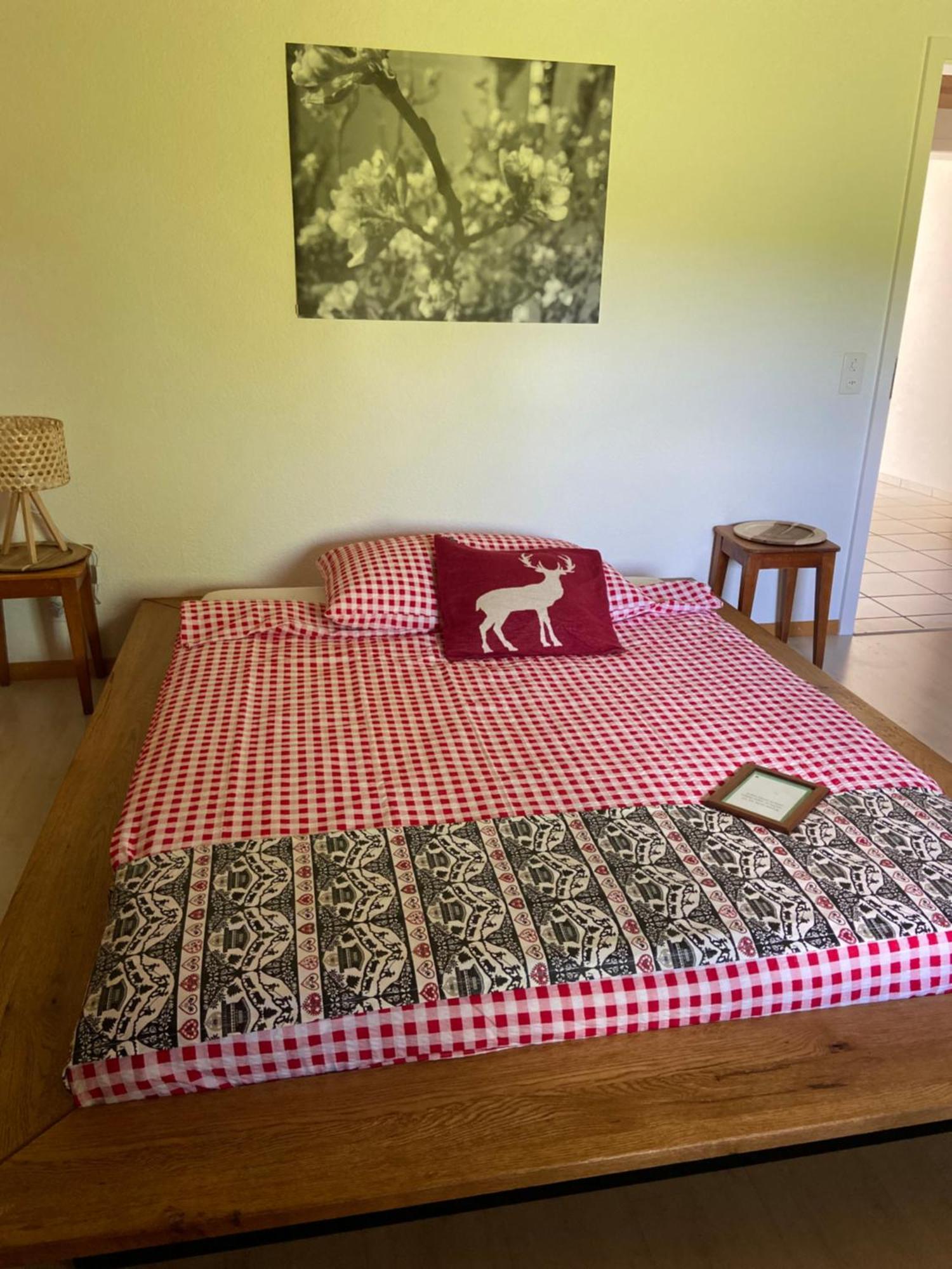 Naturnahe Familienwohnung Ruschegg Εξωτερικό φωτογραφία
