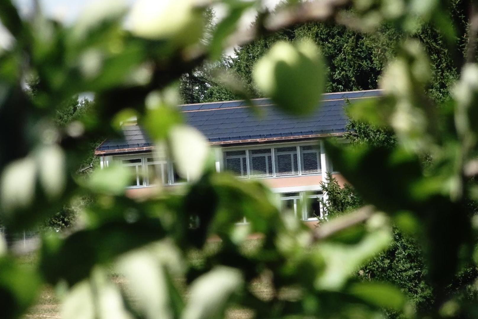 Naturnahe Familienwohnung Ruschegg Εξωτερικό φωτογραφία